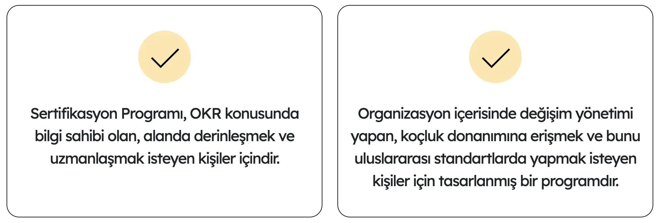 LeadUP: Liderlik Gelişim Programı