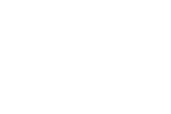 garanti
