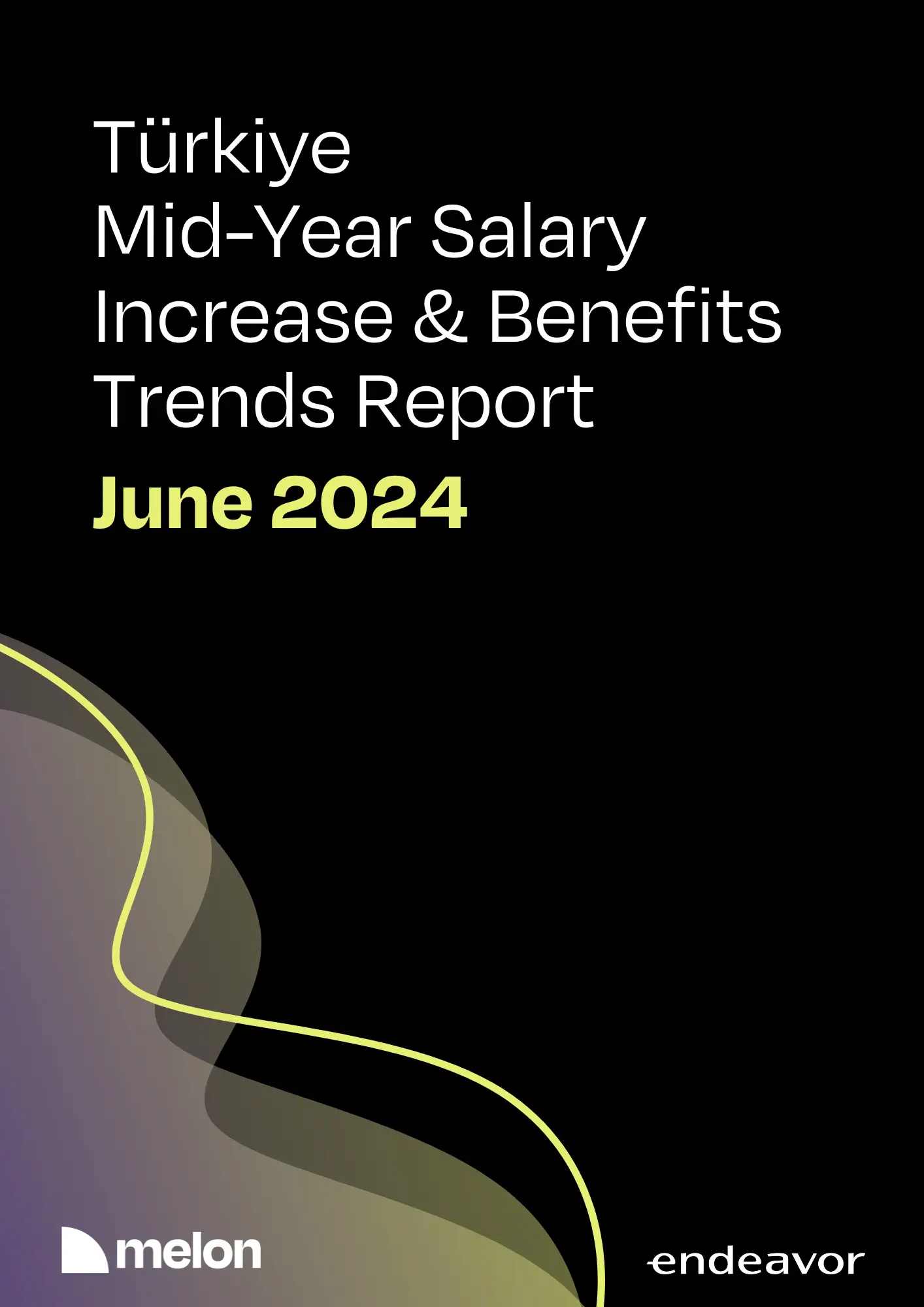 2024 June Melon & Endeavor Türkiye - Turkey Technology Sector Mid-Year Compensation and Benefits Trends Report