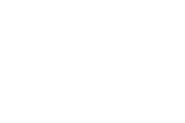 rapsodo