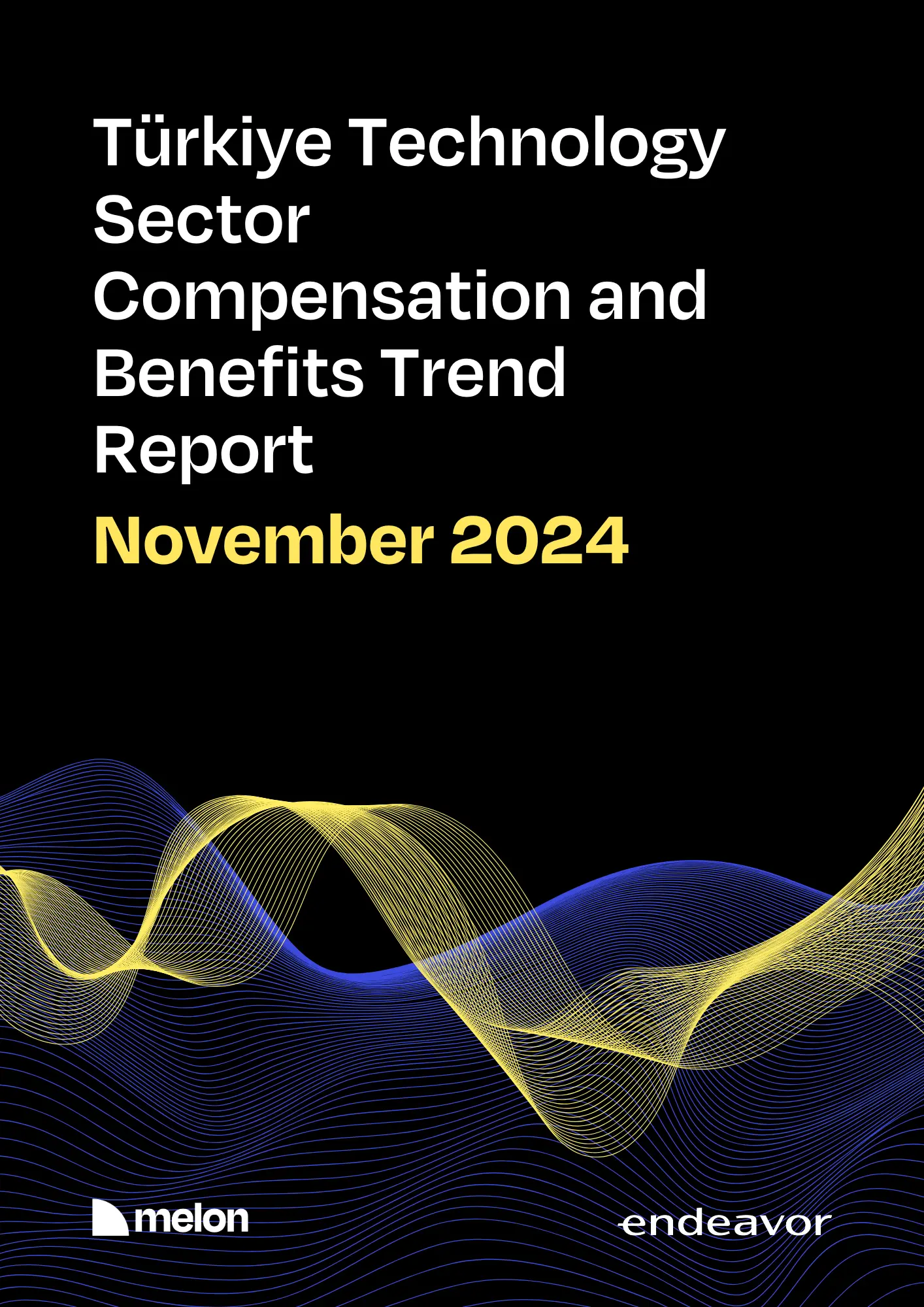  2024 November Melon & Endeavor Türkiye - Turkey Technology Sector Compensation and Benefits Trends Report