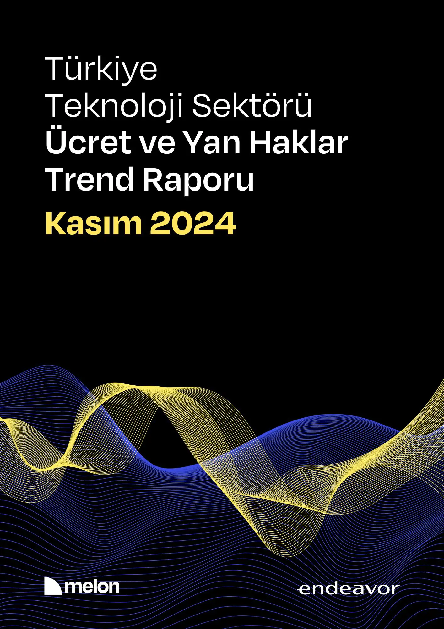 2024 Kasım Melon & Endeavor Türkiye - Türkiye Teknoloji Sektörü Ücret ve Yan Haklar Araştırma Raporu